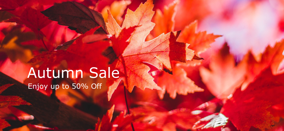 autumn_sale_home