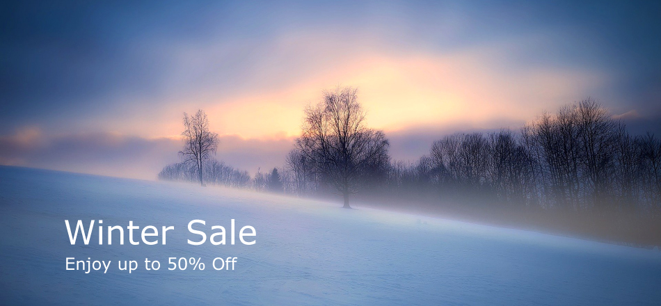 winter_sale_home